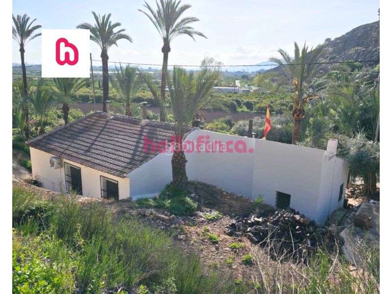 Foto 4503d720-4684-47ce-b5aa-d33a74768e5b. Masia amb calefacció aparcament piscina a Orihuela ciudad Orihuela