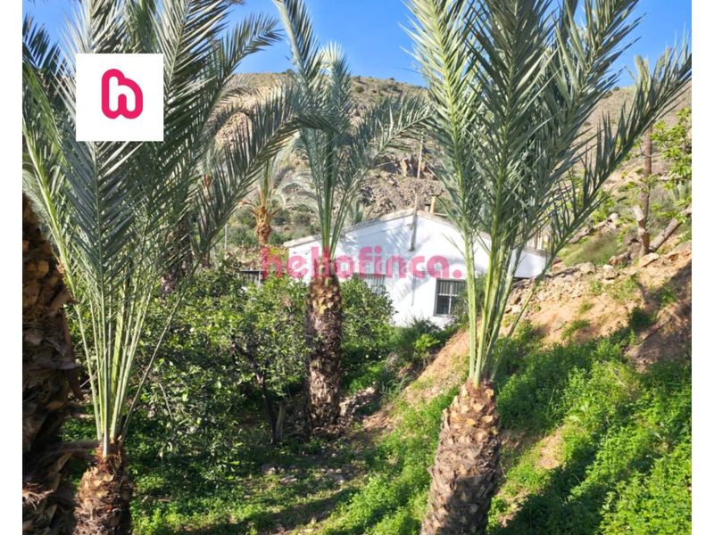 Foto dcef067f-0b5d-45c7-9872-ba7b3a76e6b9. Masia amb calefacció aparcament piscina a Orihuela ciudad Orihuela