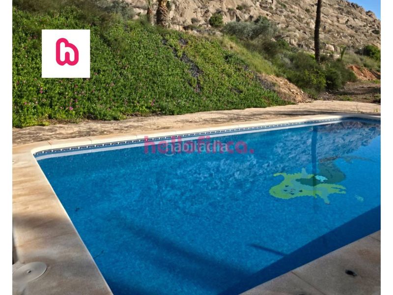Foto e01ace1e-77f4-4bc8-b600-0434f8a2058d. Masia amb calefacció aparcament piscina a Orihuela ciudad Orihuela