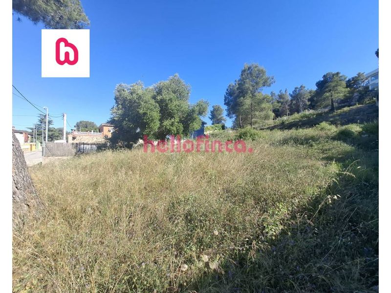 Foto d2f3fdd0-07cf-4570-bcc4-d34ee3a59656. Finca rústica a calle gavà 7 a Canyelles