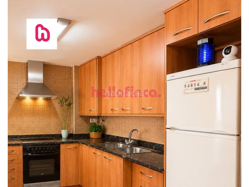 Foto bf43d1ec-4fa6-4a03-93d1-cd4a5dd2290c. Pis amb calefacció a Montesquiu