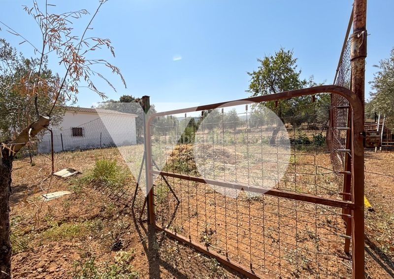 Foto 270f6b50-2e67-4847-a41b-66e159561951. Casa amb piscina a Almodóvar del Campo
