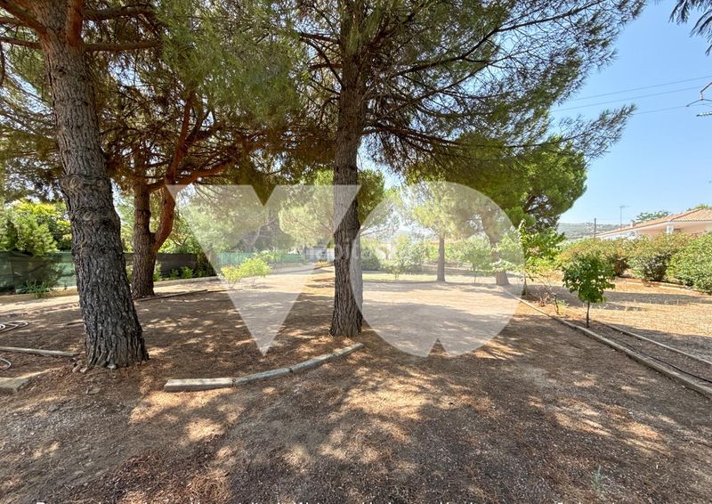 Foto 52edcaa2-c225-433a-9797-33312e1f4abd. Casa amb piscina a Almodóvar del Campo