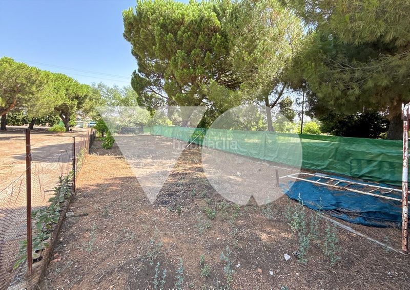 Foto d9ecb5ab-128f-4b8e-bd7d-32d3fd0f759d. Casa amb piscina a Almodóvar del Campo