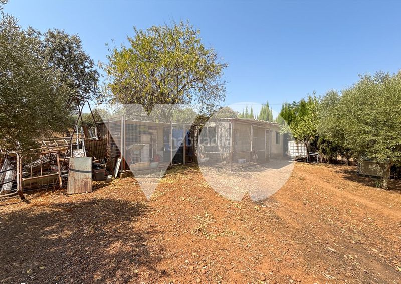 Foto e0b13d30-3e7d-47a9-867c-551d1acdd0b3. Casa amb piscina a Almodóvar del Campo
