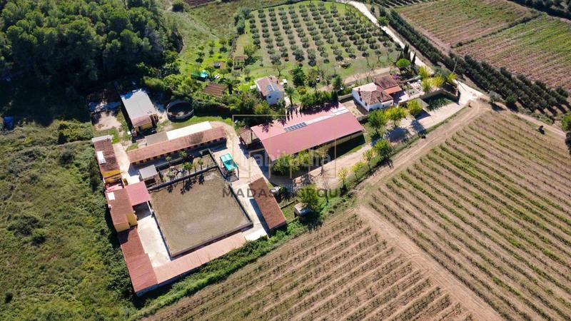 Foto 9c06bb3a-238b-499e-8c83-0a8942bfa6c0. Mas avec parking dans Bonastre