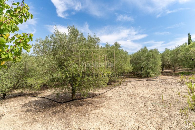Foto 0791aafa-e1d7-4dea-b44f-dfee44954578. Location maison dans partida disseminat dans Catllar (El)