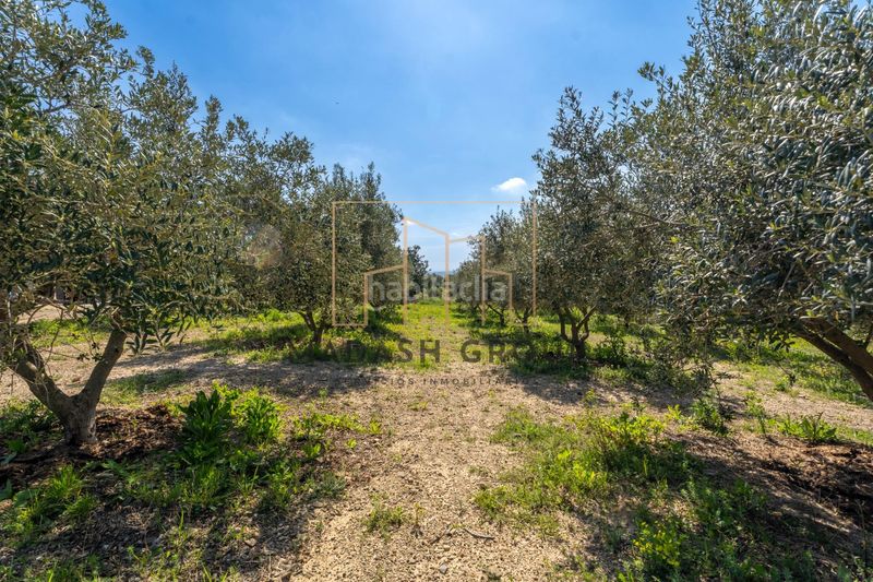 Foto b3ebe079-e93a-4b16-82de-3fc6373c0534. Masia a Centre Reus