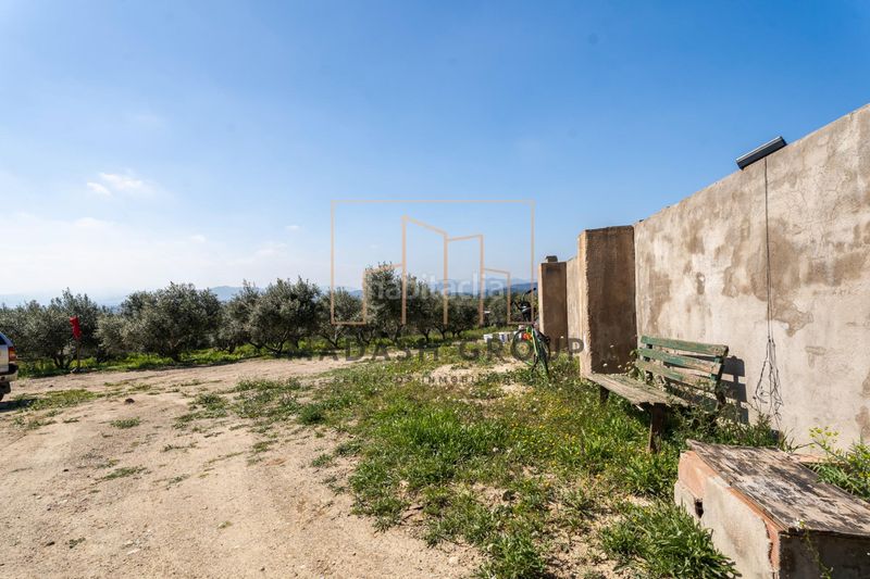 Foto df8c5532-aa91-4fb9-ad1b-fa74ae77eb3b. Masia a Centre Reus