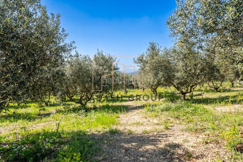 Foto f5c1fafb-a408-4e78-91f2-be9c70821747. Masia a Centre Reus