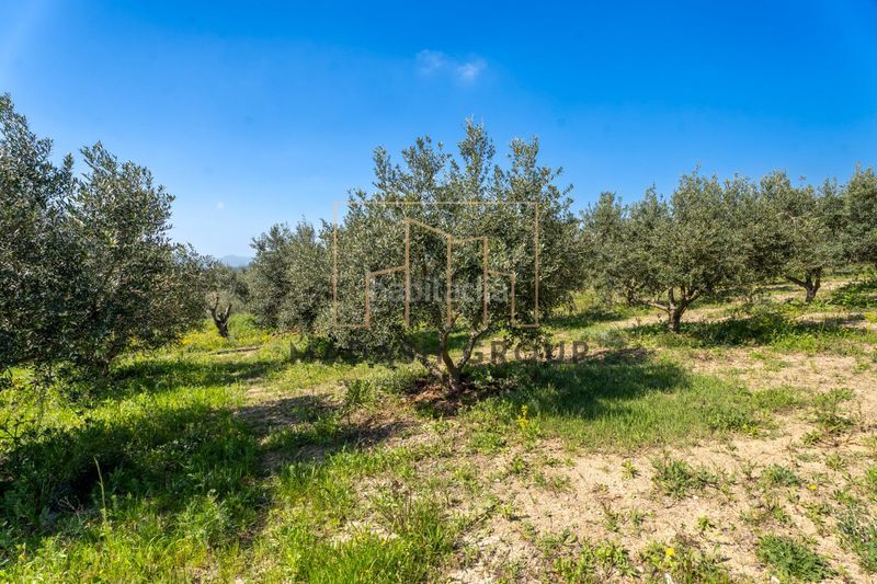 Foto d5309ec3-4609-45b2-b22a-baa7b073a6c7. Masia a Centre Reus