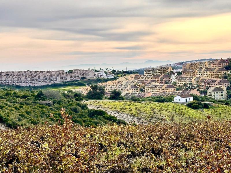 Foto 3c0a6ef4-20b9-4282-8117-e47a591a5c90. Finca rústica finca con casa, viña y potencial de construcción en manilva en Marbella