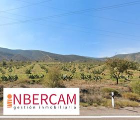 Propriété à Fondón. Gran oportunidad!! venta finca regadio fondon