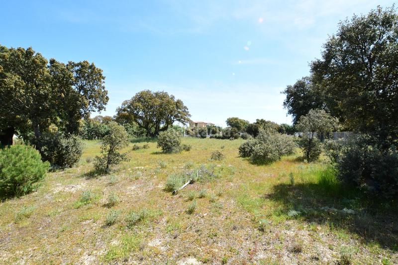 Foto 22e2c6f8-21fd-46b9-8248-f0510b93b436. Terreno residencial en Maello