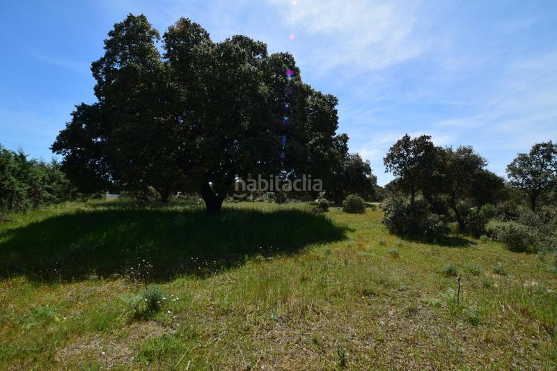 Foto 9b4453fd-4a3c-4e31-b583-b2c4515666b2. Terreno residencial en Maello