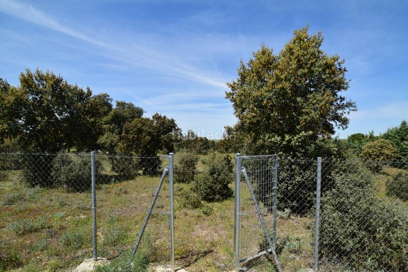 Foto a05f8b06-1781-4d0e-988f-e666d77e9707. Terreno residencial en Maello