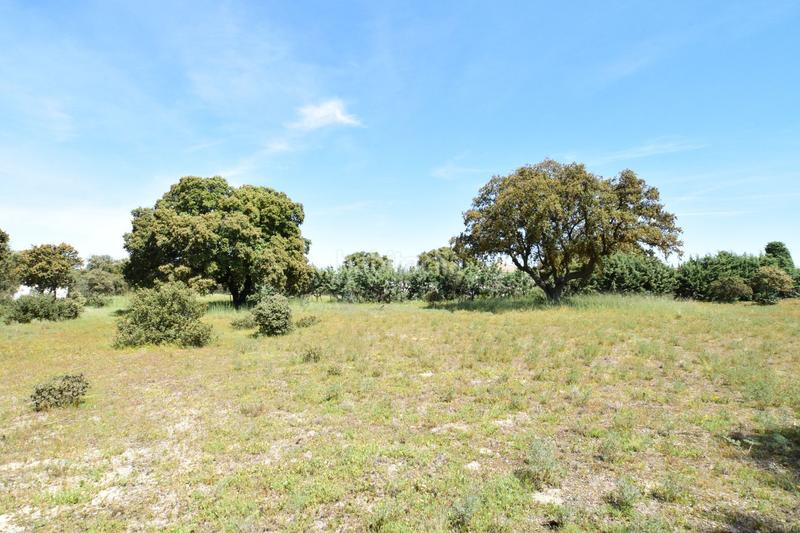 Foto cf5201fa-e166-4c2c-88e5-aeb51853fa3d. Terreno residencial en Maello