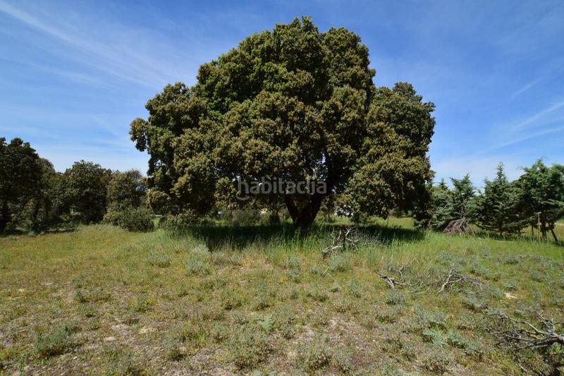 Foto e5a314cc-9cba-47fe-ad28-de94233cd478. Terreno residencial en Maello