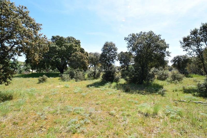 Foto f4edadeb-785f-4d6d-862a-763b249833ce. Terreno residencial en Maello