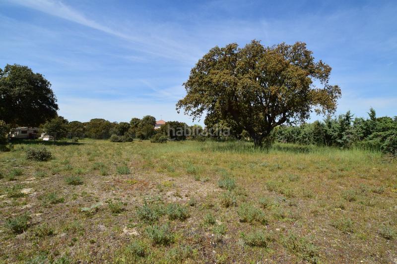 Foto fd887b5b-9648-4321-839e-e2e29c5fc420. Terreno residencial en Maello