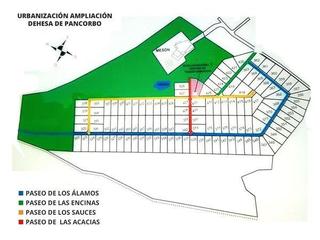 Terreno residencial  De los alamos. Maello   avila