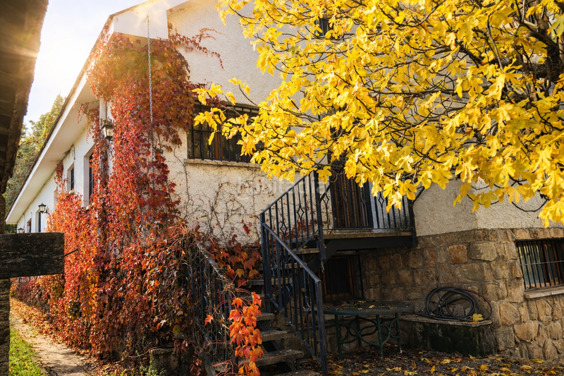 Foto 88189567-4b01-4dbb-b72d-6d06c6e33d32. Casa amb calefacció piscina a Soto del Real