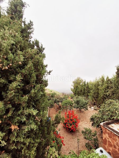 Foto 4e57a1b8-0064-4073-a287-b532bee955f9. Finca rústica a Belicena Vegas del Genil