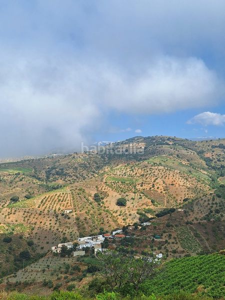 Foto 59a92678-2103-4046-a8ee-5f08c21d9599. Finca rústica a Belicena Vegas del Genil
