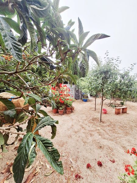 Foto c377e89e-0b2b-4e81-943d-ca901681bf8a. Finca rústica a Belicena Vegas del Genil