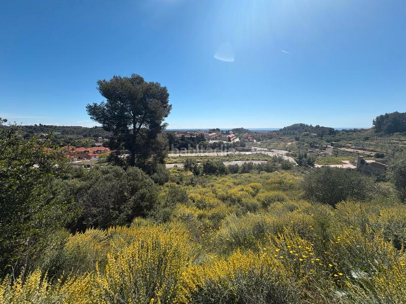 Foto 02ade20a-afe3-4aef-bf5b-6f4e242df3b6. Terreny residencial a carrer de la bruguera 289 a Riudecanyes