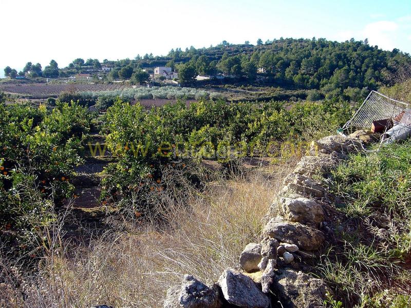 Foto 2c678644-1659-4864-b955-834eacd5f95d. Xalet amb aparcament piscina a Godelleta