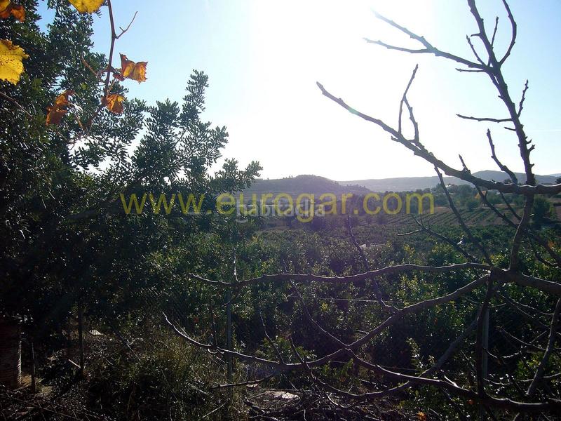 Foto 880cbf81-13df-4f2f-95b4-863313da3af9. Xalet amb aparcament piscina a Godelleta