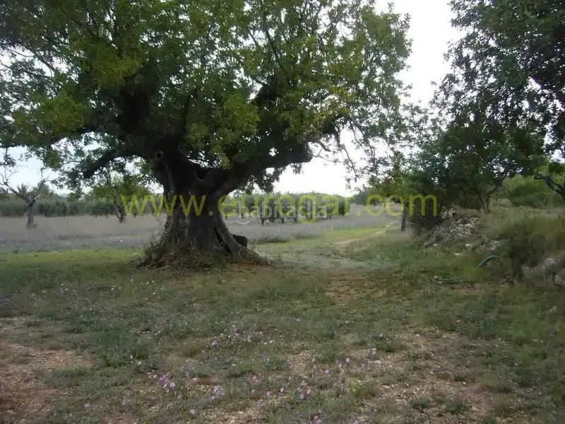 Foto 3f4739de-3142-4862-9872-aabddb6ef2bb. Xalet a Centro Chiva