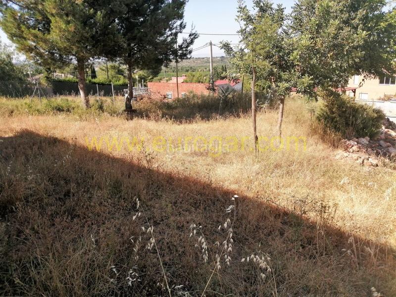 Foto 4a3a112d-cd7a-4a5a-9a22-a7caab3fcbb4. Xalet amb aparcament a Las Pedrizas Chiva