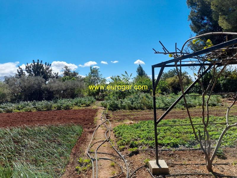 Foto 00fcf598-1f55-4e1b-943a-c4ba1742f935. Xalet amb calefacció a Cheste