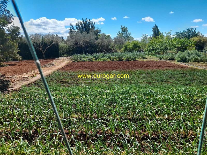 Foto 0bd4dd33-04d6-42ae-b8a4-30be781b7ece. Xalet amb calefacció a Cheste