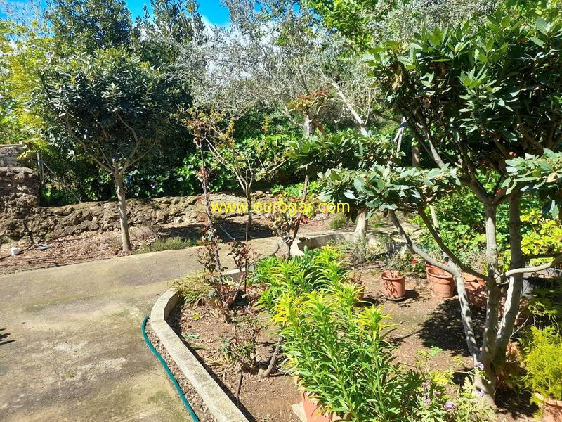 Foto 9fa0d029-3a0e-4373-a8da-c52adcbe54eb. Xalet amb calefacció a Cheste