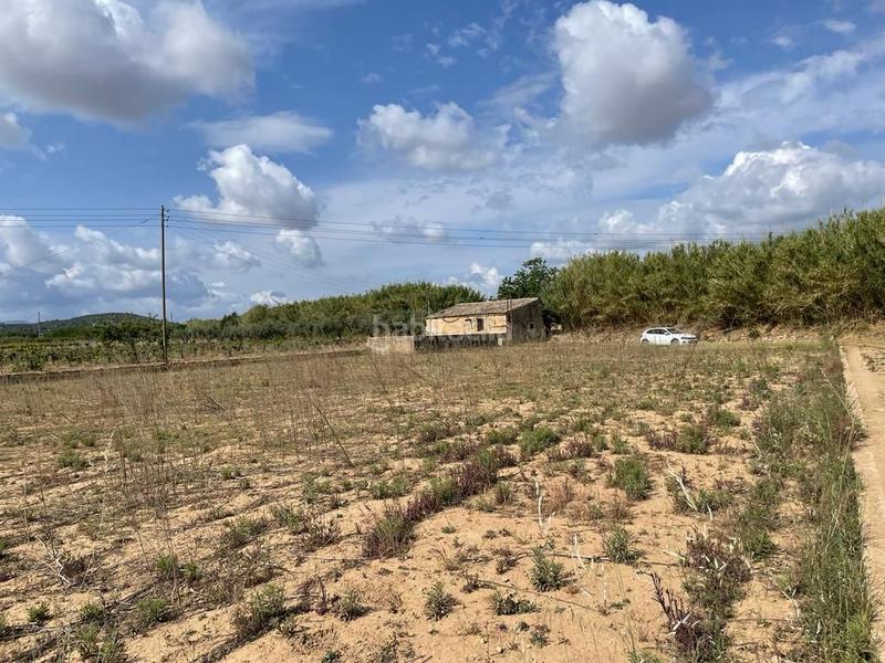 Foto 2921a1db-7ea1-4975-b940-bccfb6efadad. Finca rústica a Centro Chiva