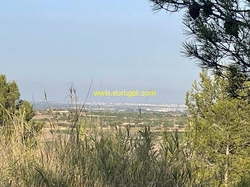 Foto 11a4d7fd-9893-4c9d-be74-b31c823f1a02. Chalet with pool in Centro Chiva