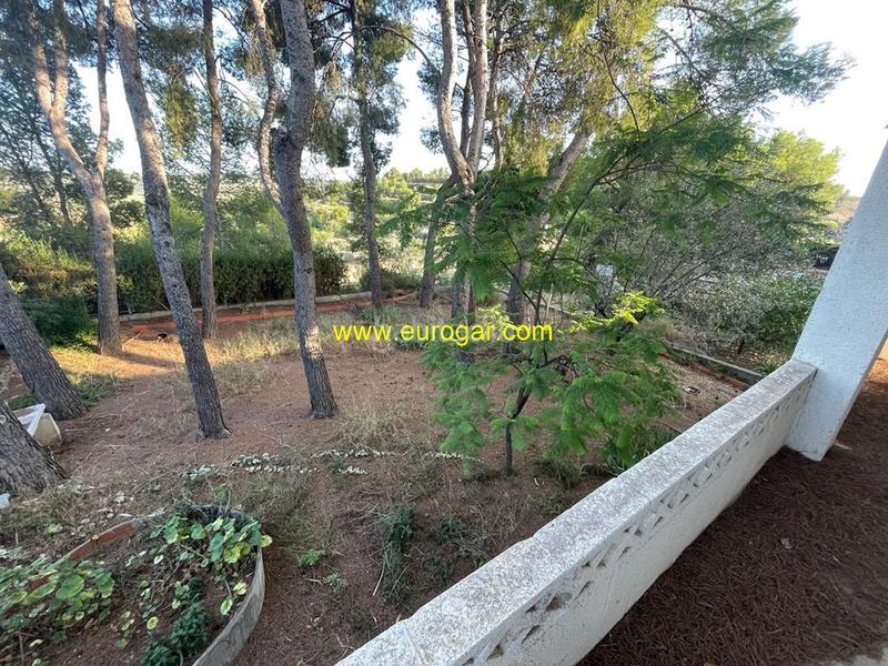 Foto 1f4831ea-f34e-435d-b944-c2d8c57892e4. Chalet with pool in Centro Chiva