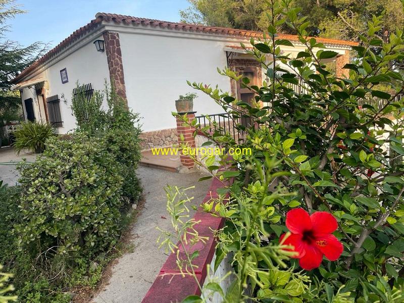 Foto 9852b571-93c5-4fbd-a3f0-d8b662ccfe58. Chalet with pool in Centro Chiva