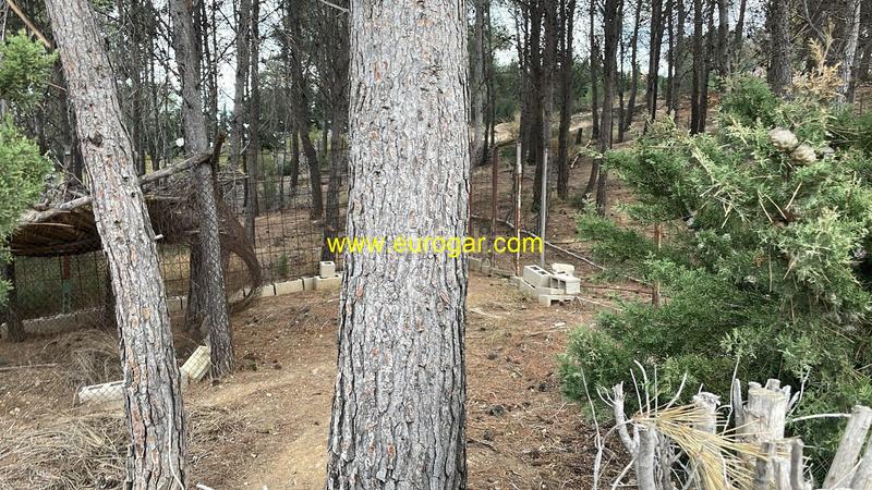 Foto d40ece35-29bf-4d6a-8bbf-5e51ecd086ac. Terrain résidentiel dans Centro Chiva