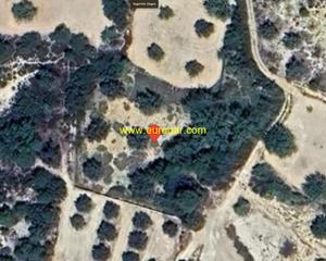 Finca rústica a Centro. Parcelas en venta