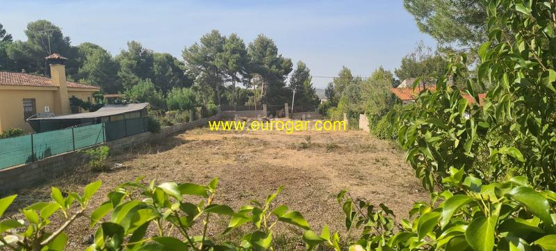 Foto a009e5ed-900e-48f0-8a93-df4cfc6a5cab. Terreno residencial estupenda parcela de 1200m2 aproximadamente en loma de miralcampo. en Chiva