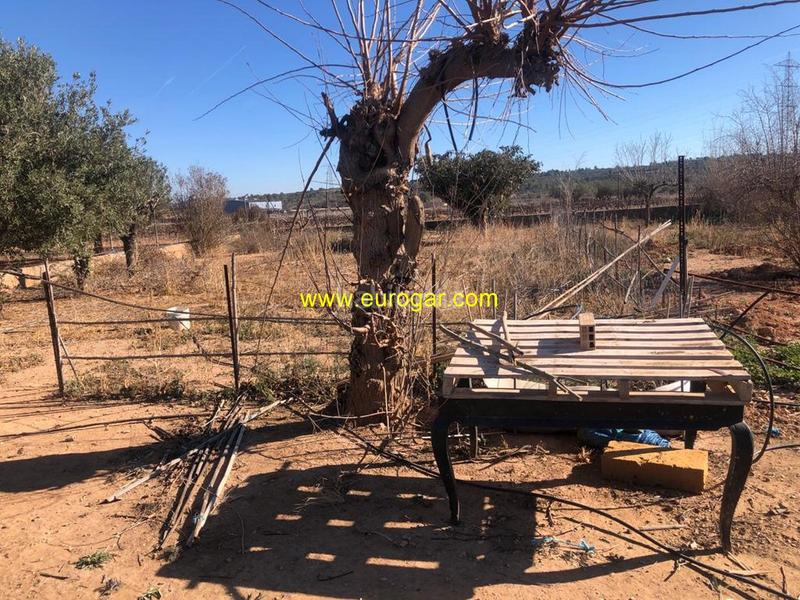 Foto 5b68d214-687b-4bbf-948b-464947a61e5c. Chalet in Cheste