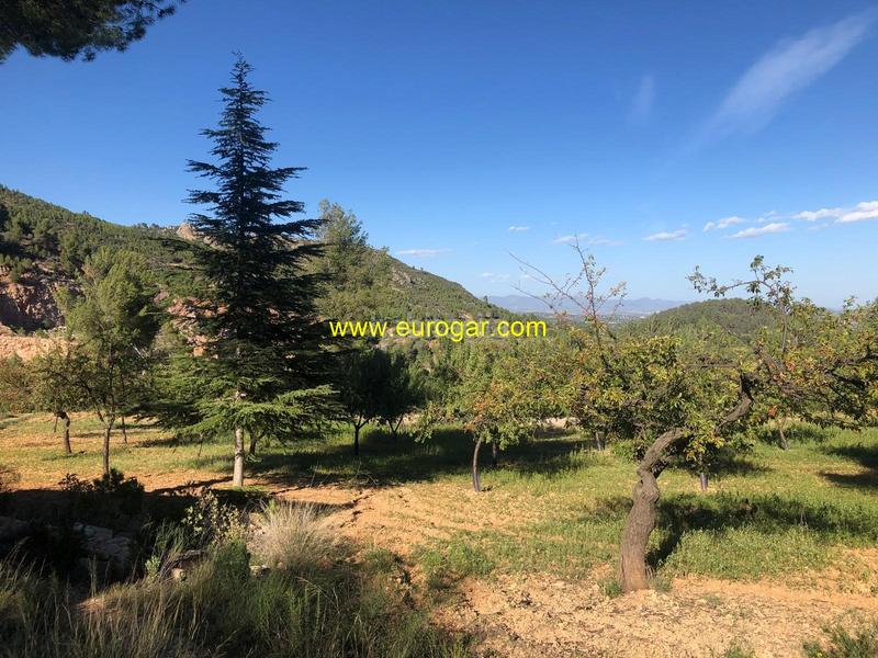 Foto 918d61b6-b9e9-4718-bc5a-9f85e718ebd7. Xalet amb aparcament a Las Pedrizas Chiva