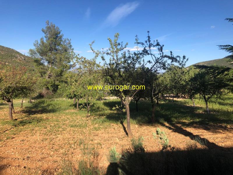Foto 9b7efdd7-aae3-453a-bd2b-8335ff8e9d2c. Xalet amb aparcament a Las Pedrizas Chiva