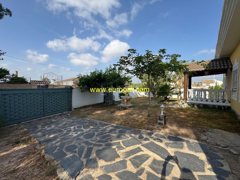 Foto 43db696d-a9b4-481d-a2c0-a7b83326e4cc. Chalet avec parking piscine dans Vilamarxant