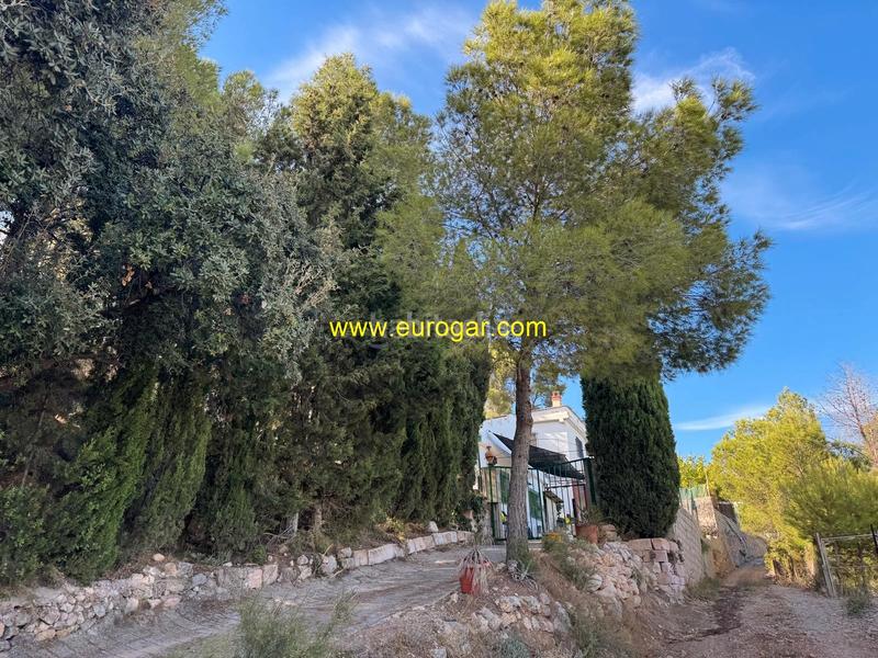 Foto bf838f81-a235-4879-bc4a-c25ee0a95e98. Haus in Centro Chiva