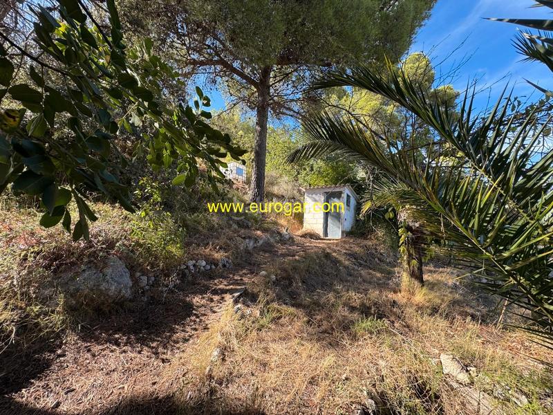 Foto e3c17ecf-821e-4151-9c07-ddaf44653cf4. Haus in Centro Chiva